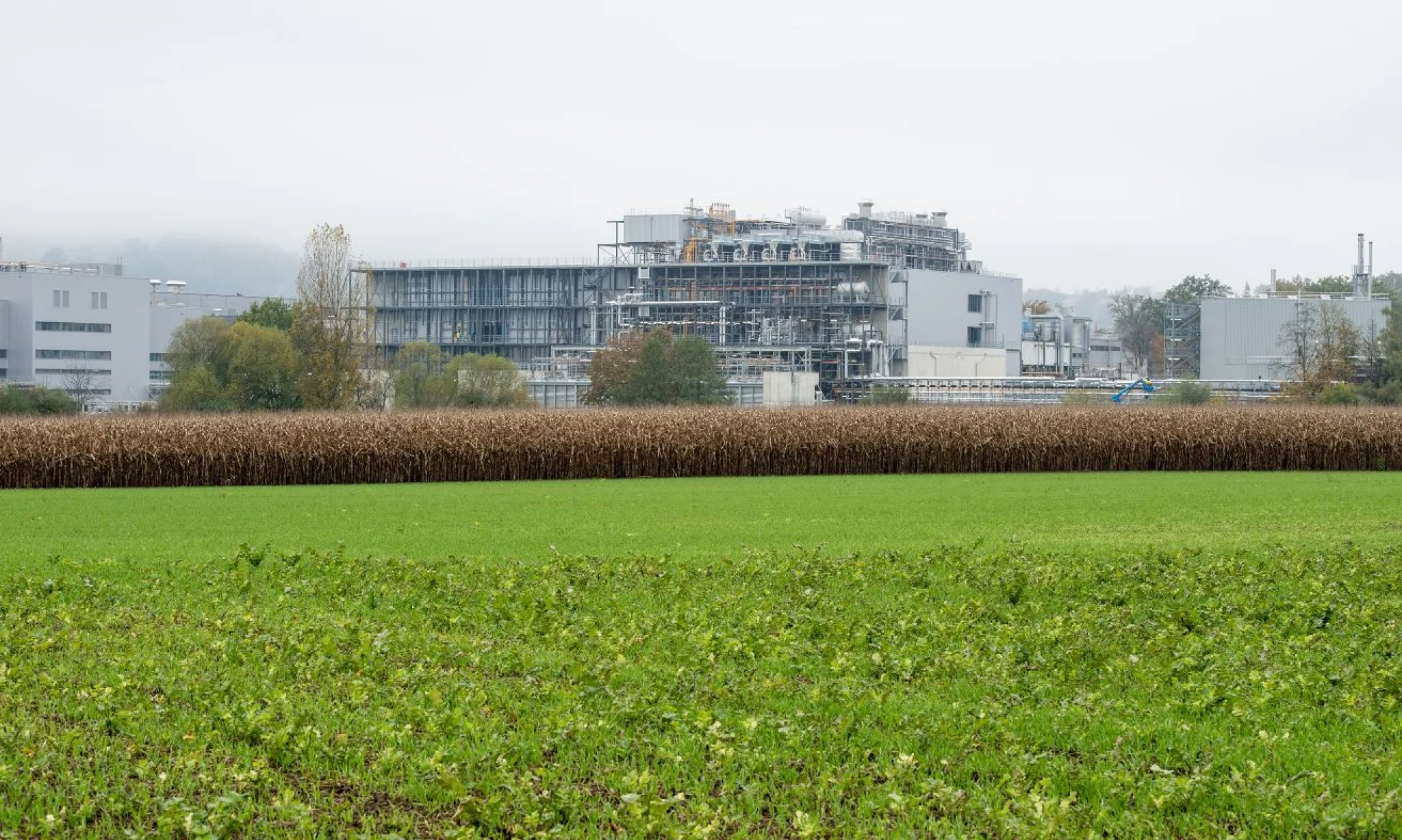 Bild vom Greenfield Projekt.
